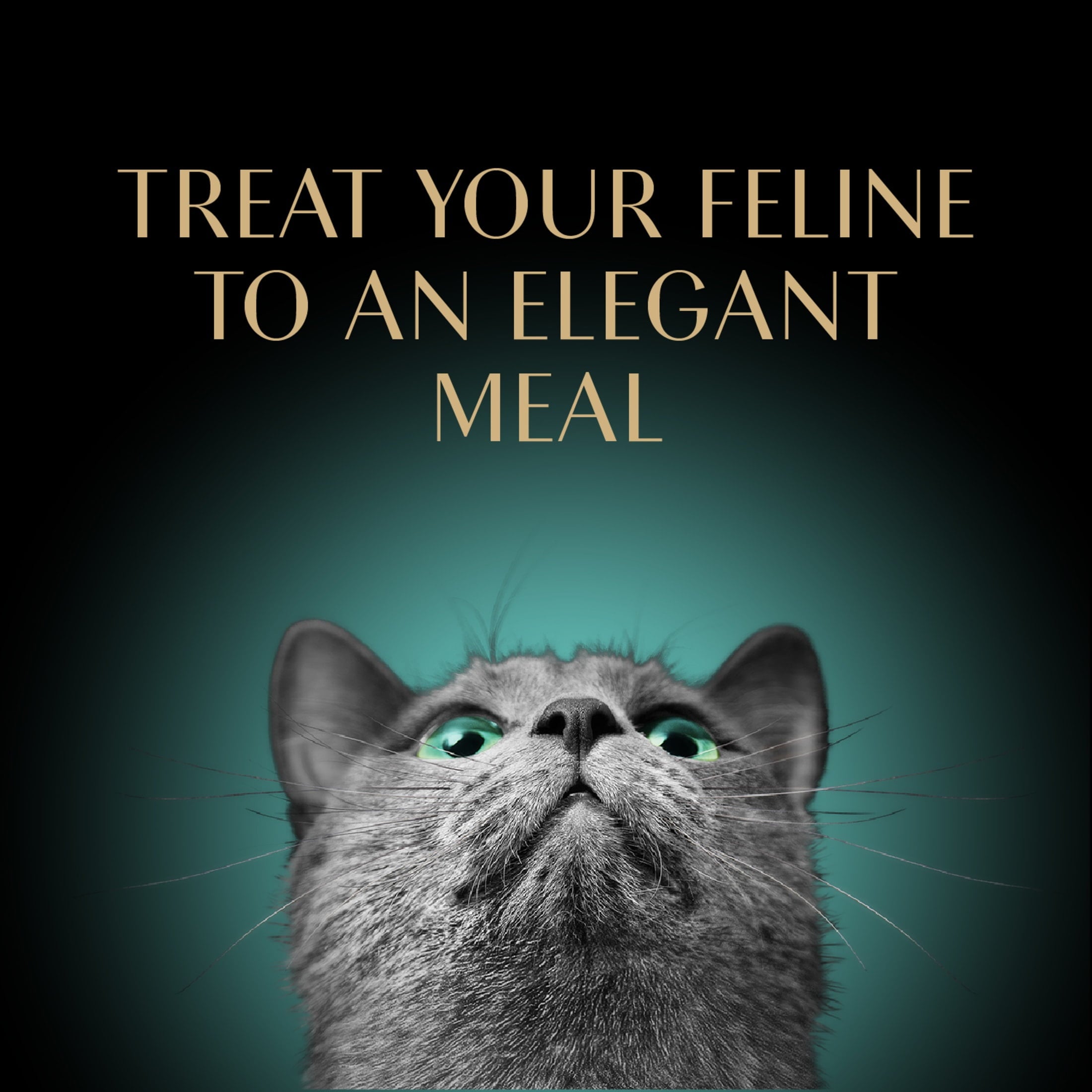 Sheba Wet Cat Food Pate, Tender Whitefish & Tuna Entree, 2.6 oz Perfect Portions Twin Pack Tray