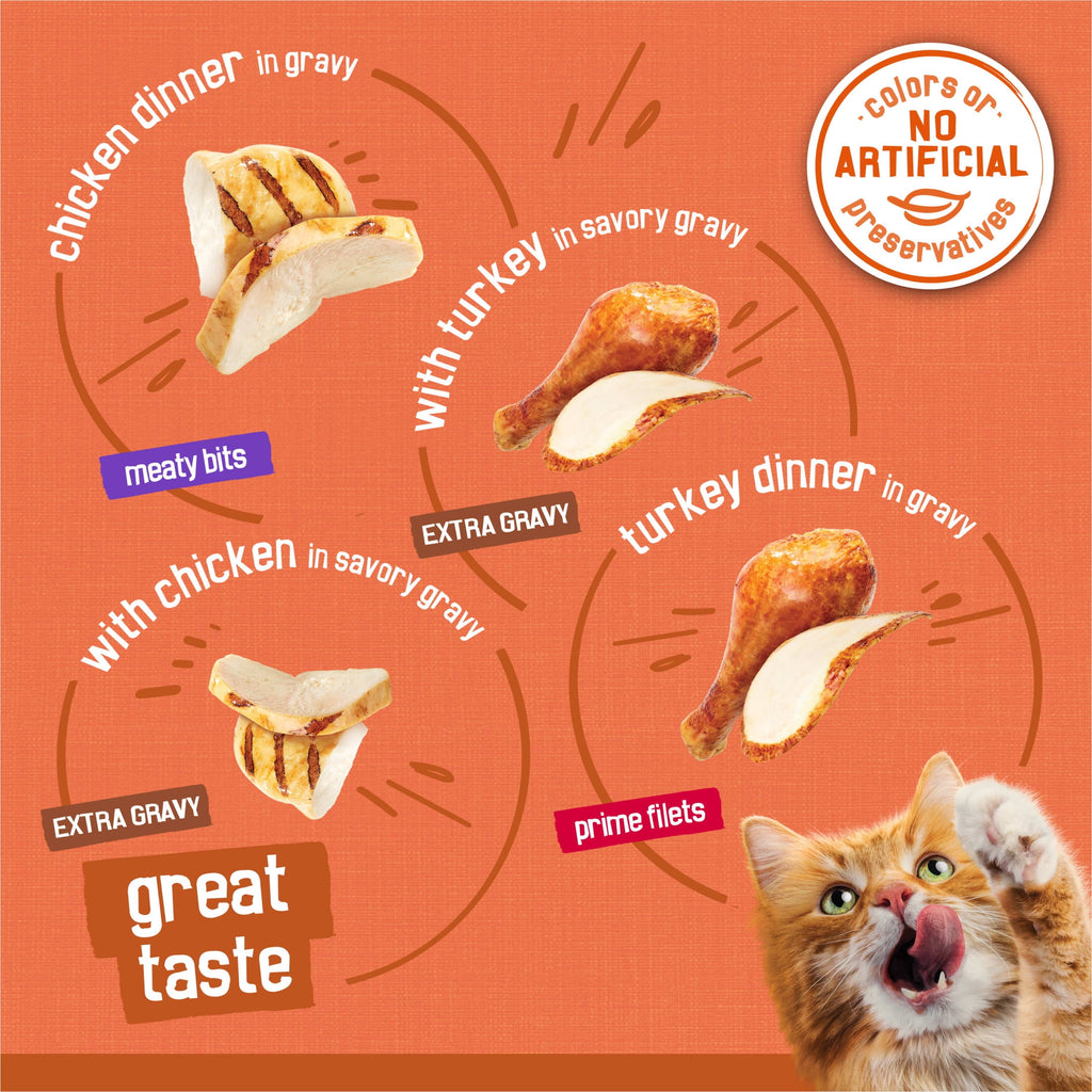 (2 pack) Purina Friskies Turchicken Gravy, Soft Variety Pack, Wet Cat Food, 5.5 oz Cans, 40 Pack