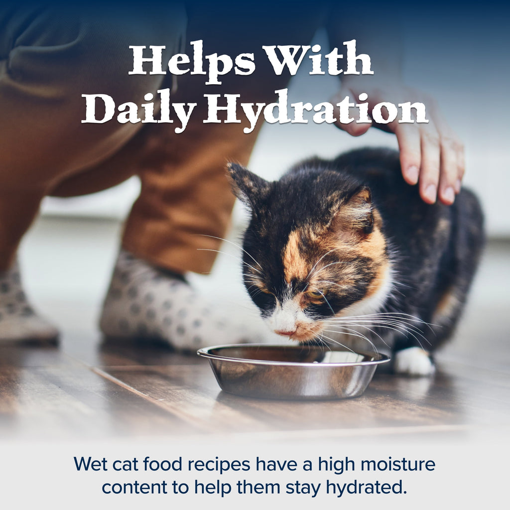 (3 pack) Blue Buffalo Wilderness High-Protein Adult Cat Wet Food, Duck, 3-oz. Can
