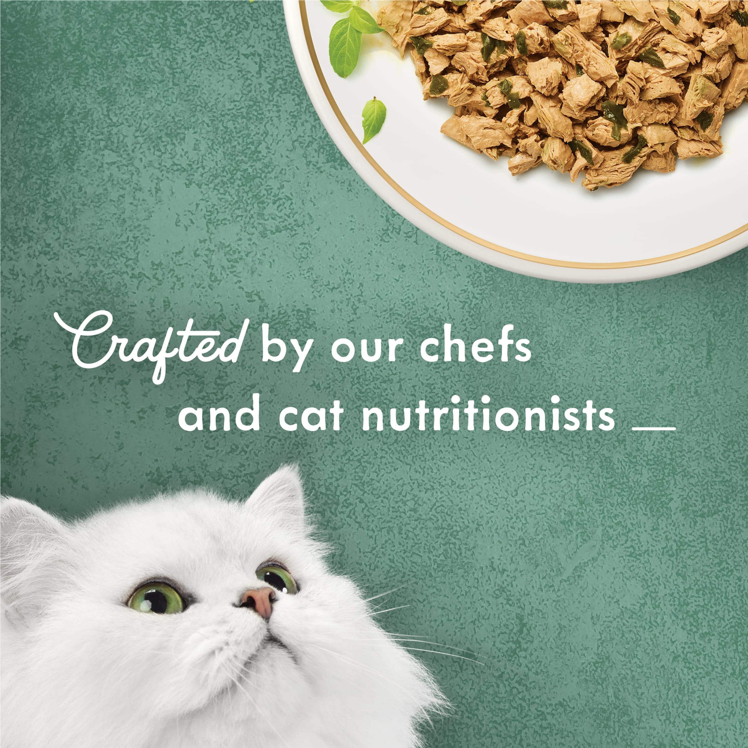 (12 pack) Purina Fancy Feast Medleys Kitten Food, Wet Cat Food, Shredded Chicken & Spinach, 3 oz Can