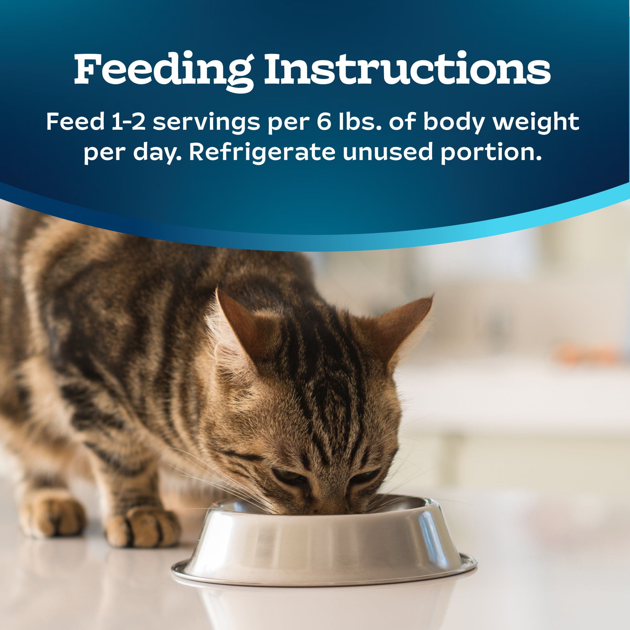 (12 pack) Blue Buffalo Tastefuls Spoonless Singles Wet Cat Food Paté, 2.6-oz Twin Pack, Chicken