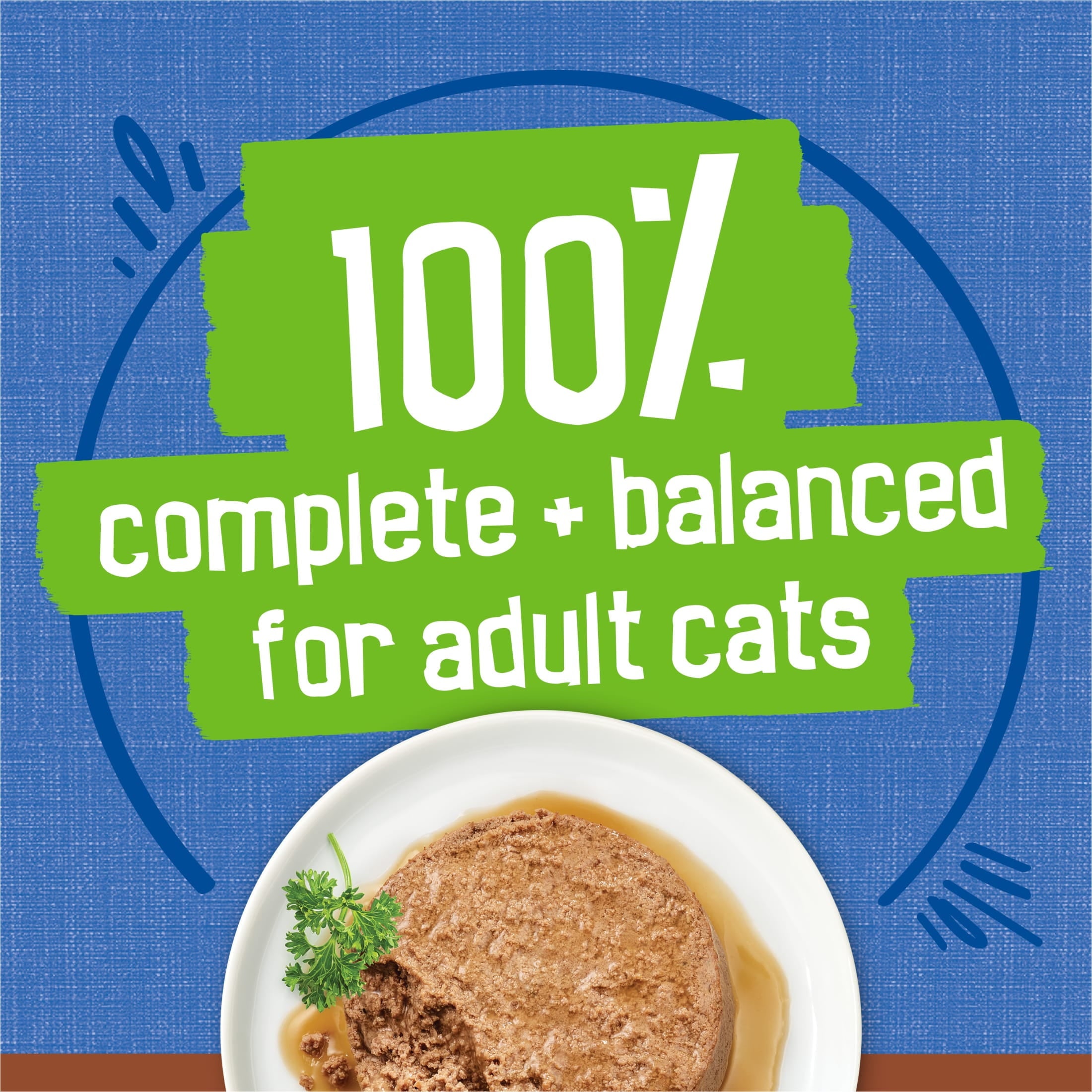 (12 pack) Purina Friskies Wet Cat Food Gravy Pate, Tuna, Wet Cat Food, 5.5 oz. Can