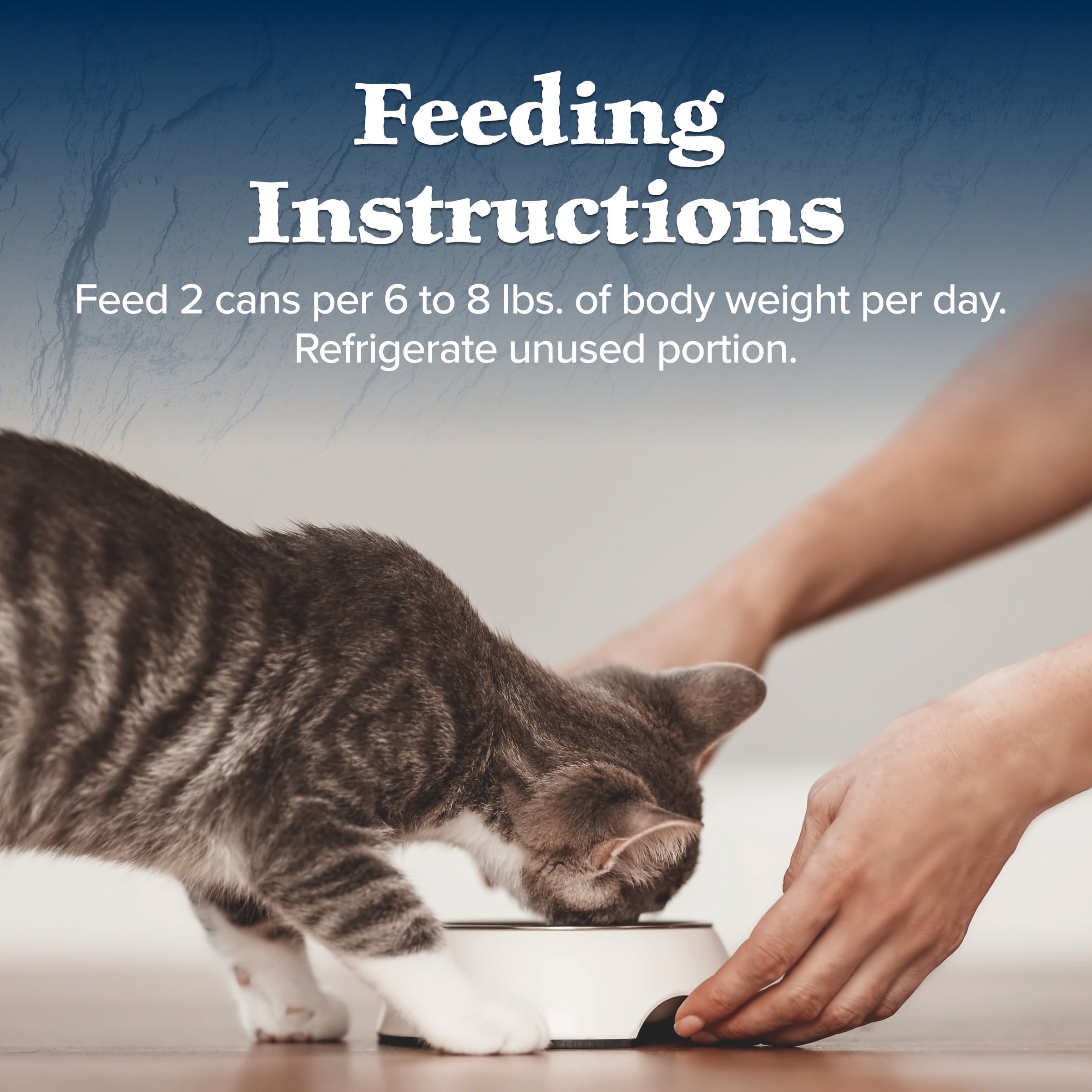 (3 pack) Blue Buffalo Wilderness High-Protein Adult Cat Wet Food, Duck, 3-oz. Can