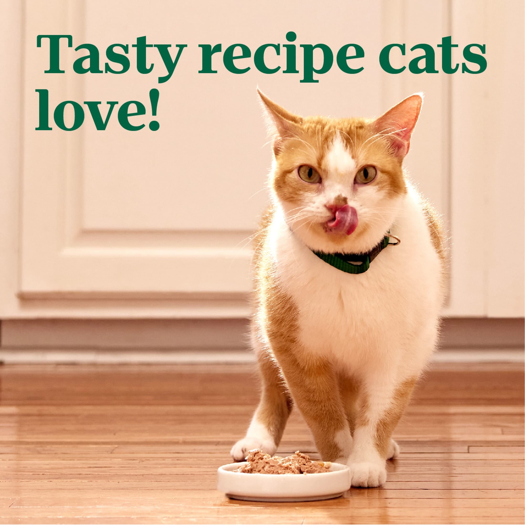 Nutro Wet Cat Food Pate Multipack: Salmon & Tuna; Chicken & Liver And Chicken; (24) 2.64 Oz. Trays