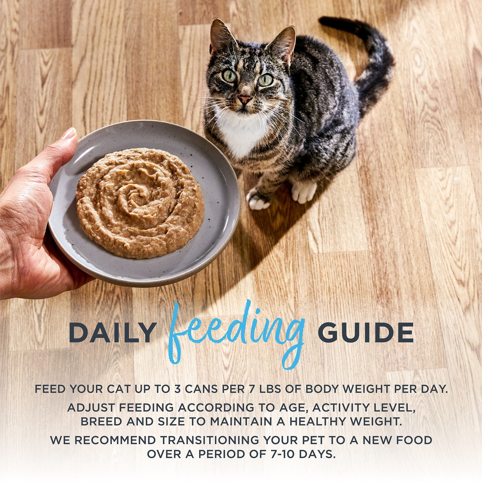 Reveal Pet Food, Natural Wet Cat Food, Fish Entree Pate Selection