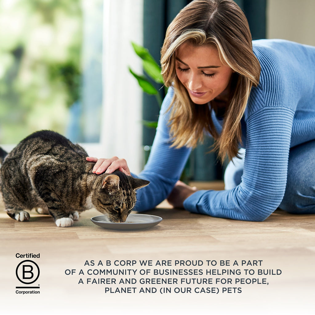 Reveal Pet Food, Natural Wet Cat Food, Fish Entree Pate Selection