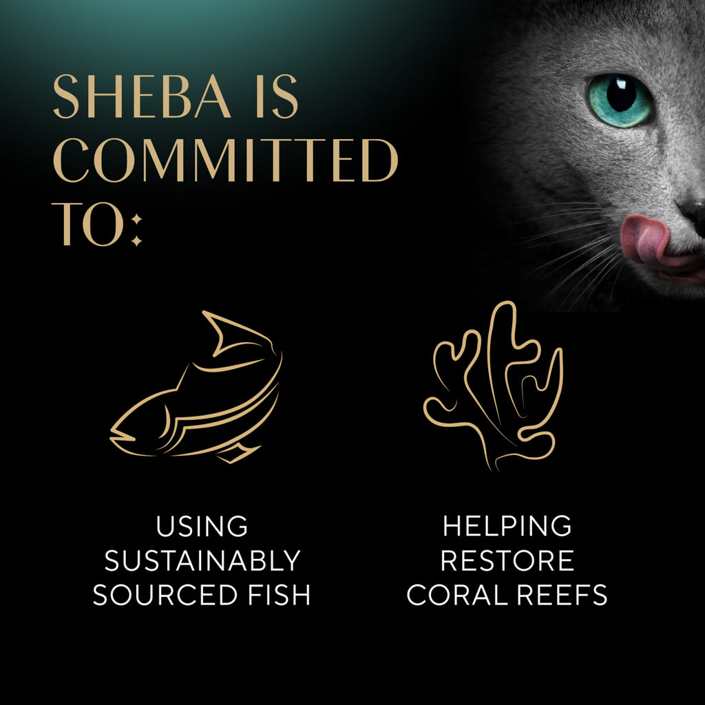 Sheba Wet Cat Food Cuts in Gravy Delicate White Fish & Tuna Entree, 2.6 oz Perfect Portions Twin-Pack Tray
