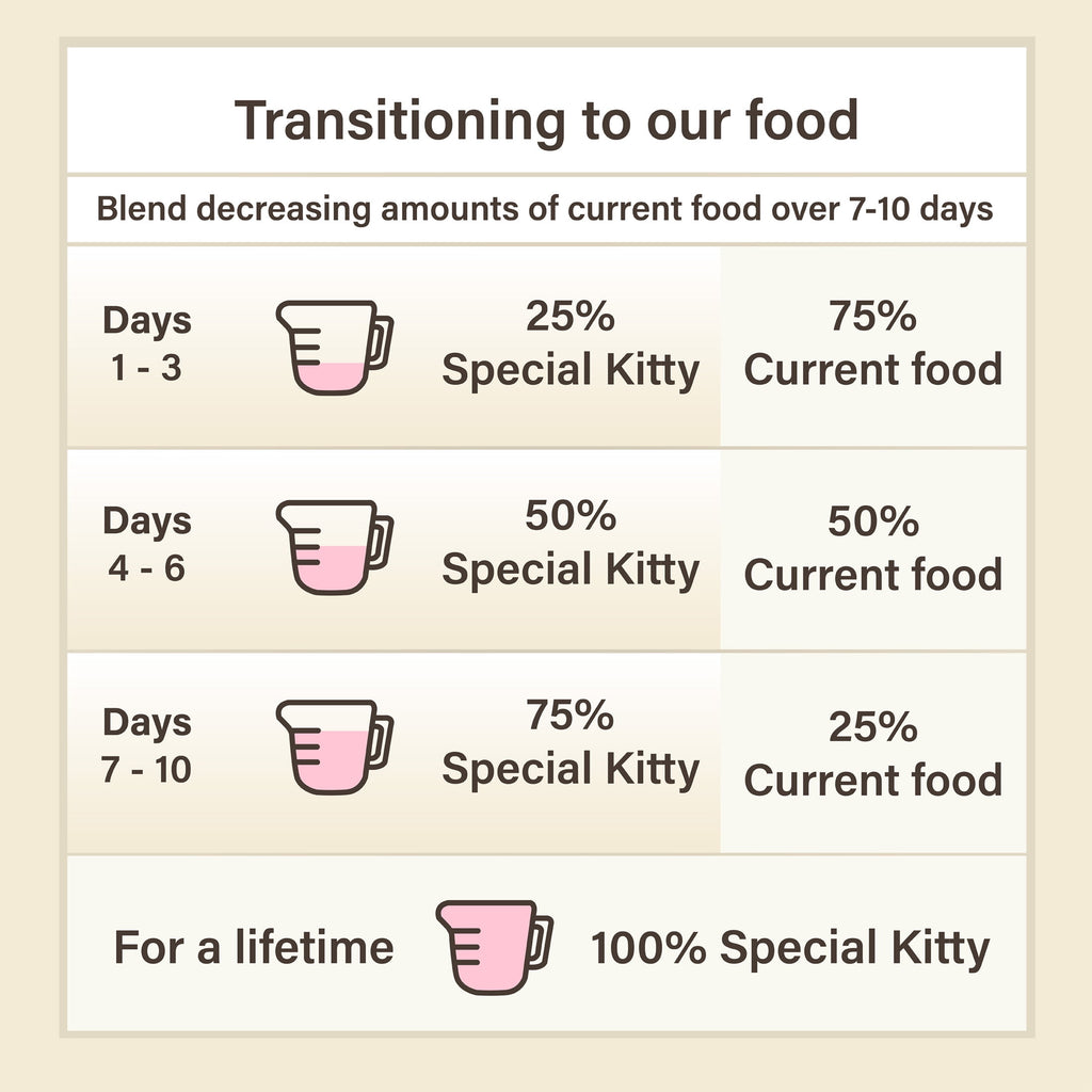 Special Kitty Poultry & Beef Cuts in Gravy Wet Cat Food Variety Pack, 5.5 oz Cans (40 Pack)