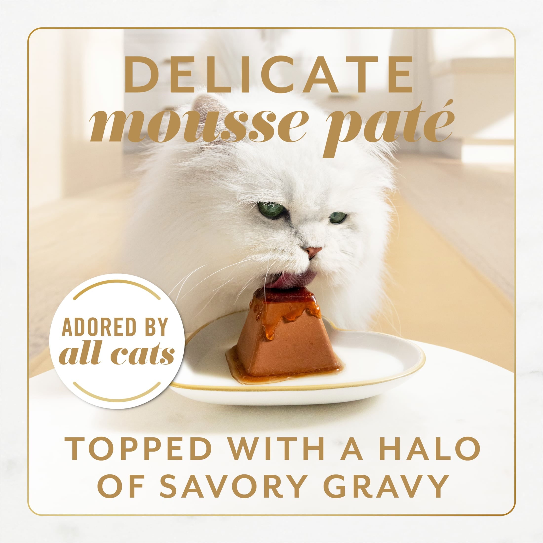 Fancy Feast Gems Pate Mousse and a Halo of Savory Gravy Wet Cat Food Variety Pack, (1) 12 ct Boxes