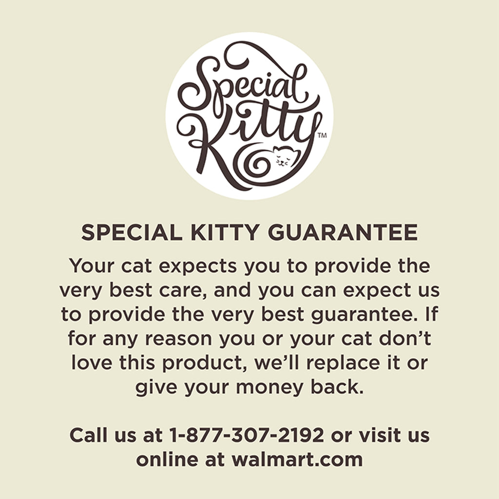 (12 pack) Special Kitty Liver & Chicken Dinner Pate Wet Cat Food, 13 oz Can