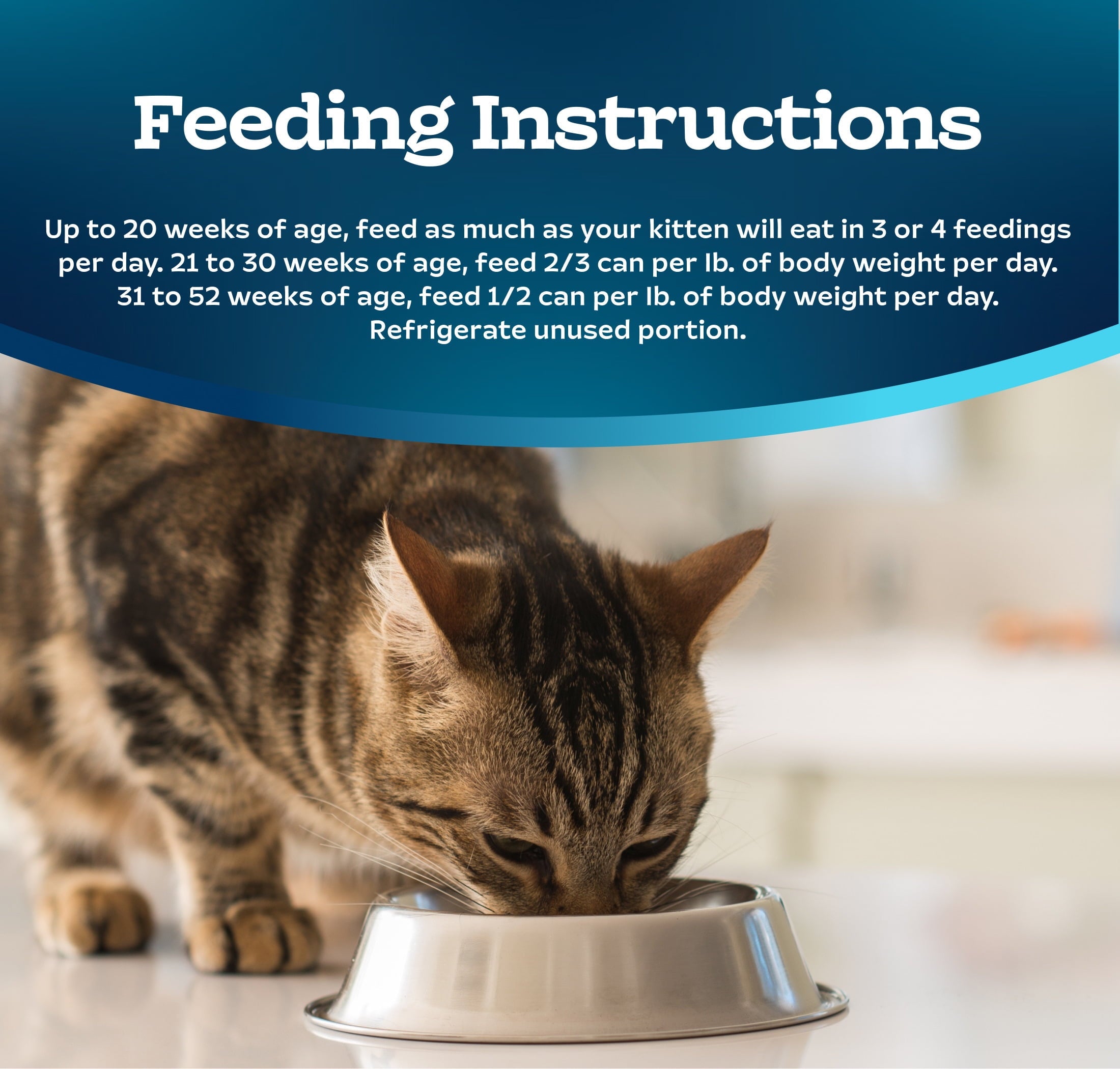 (6 pack) Blue Buffalo Tastefuls Kitten Wet Food Paté, Chicken Entrée 3-oz.