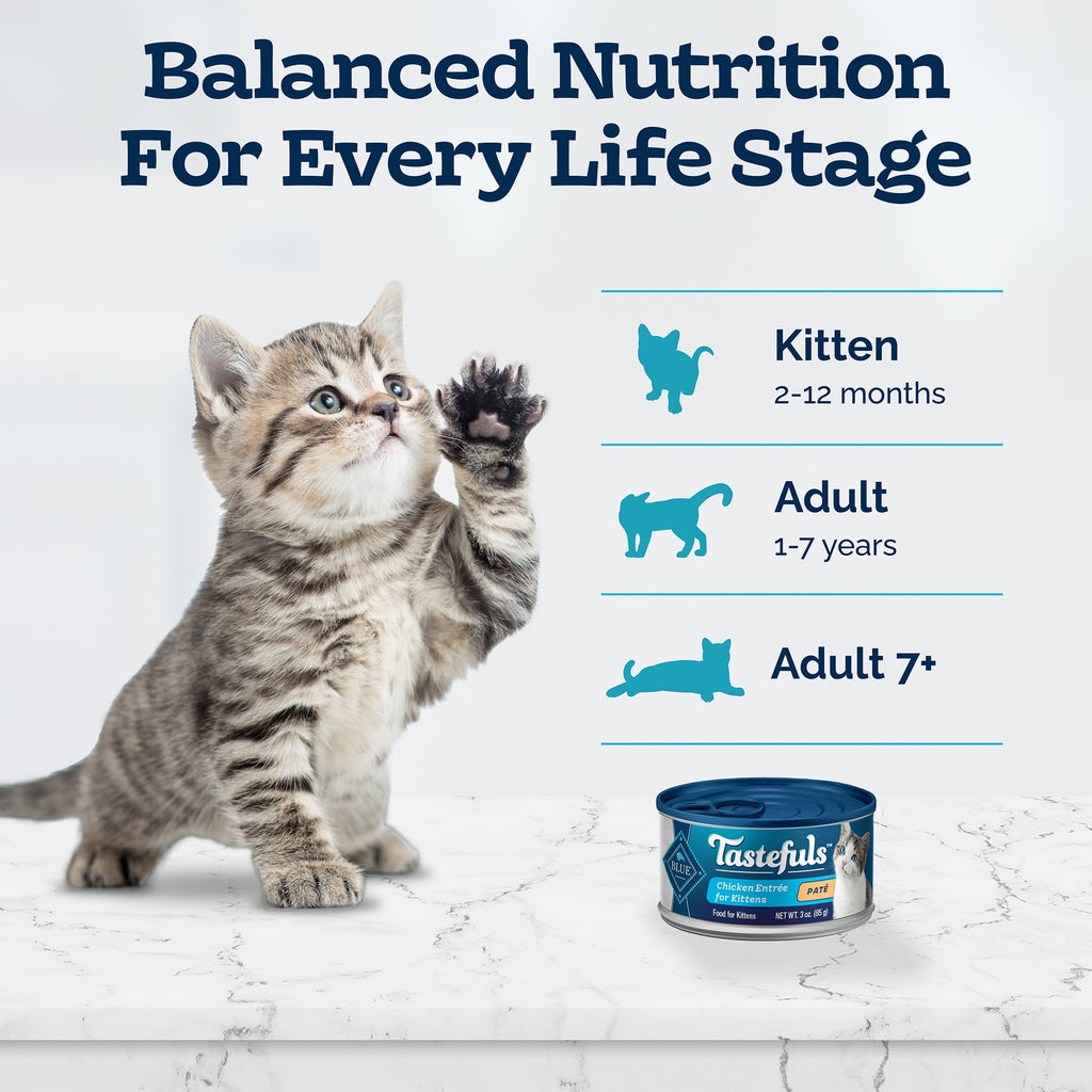 (6 pack) Blue Buffalo Tastefuls Kitten Wet Food Paté, Chicken Entrée 3-oz.