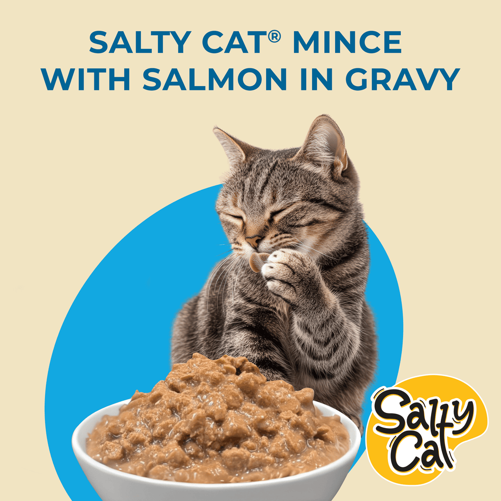 Salty Cat Minced Salmon Flavor in Gravy Wet Cat Food, 13 oz Can