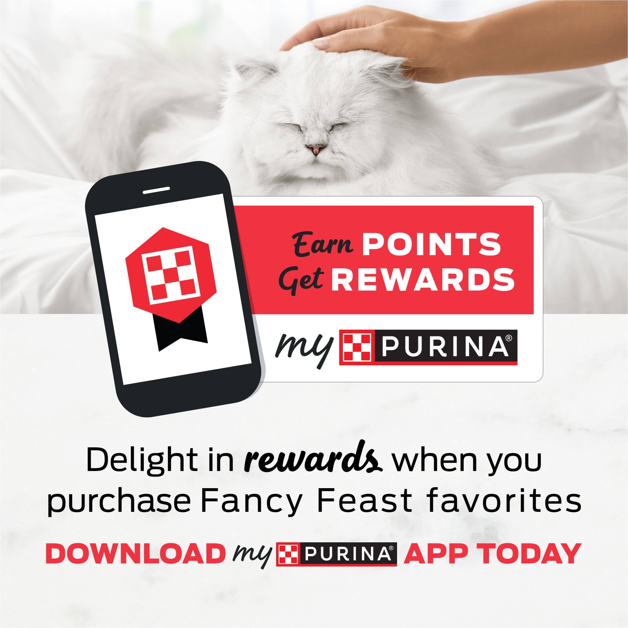 (12 pack) Purina Fancy Feast Petites Tender Beef Entree With Carrots in Gravy Gourmet Wet Cat Food Pate