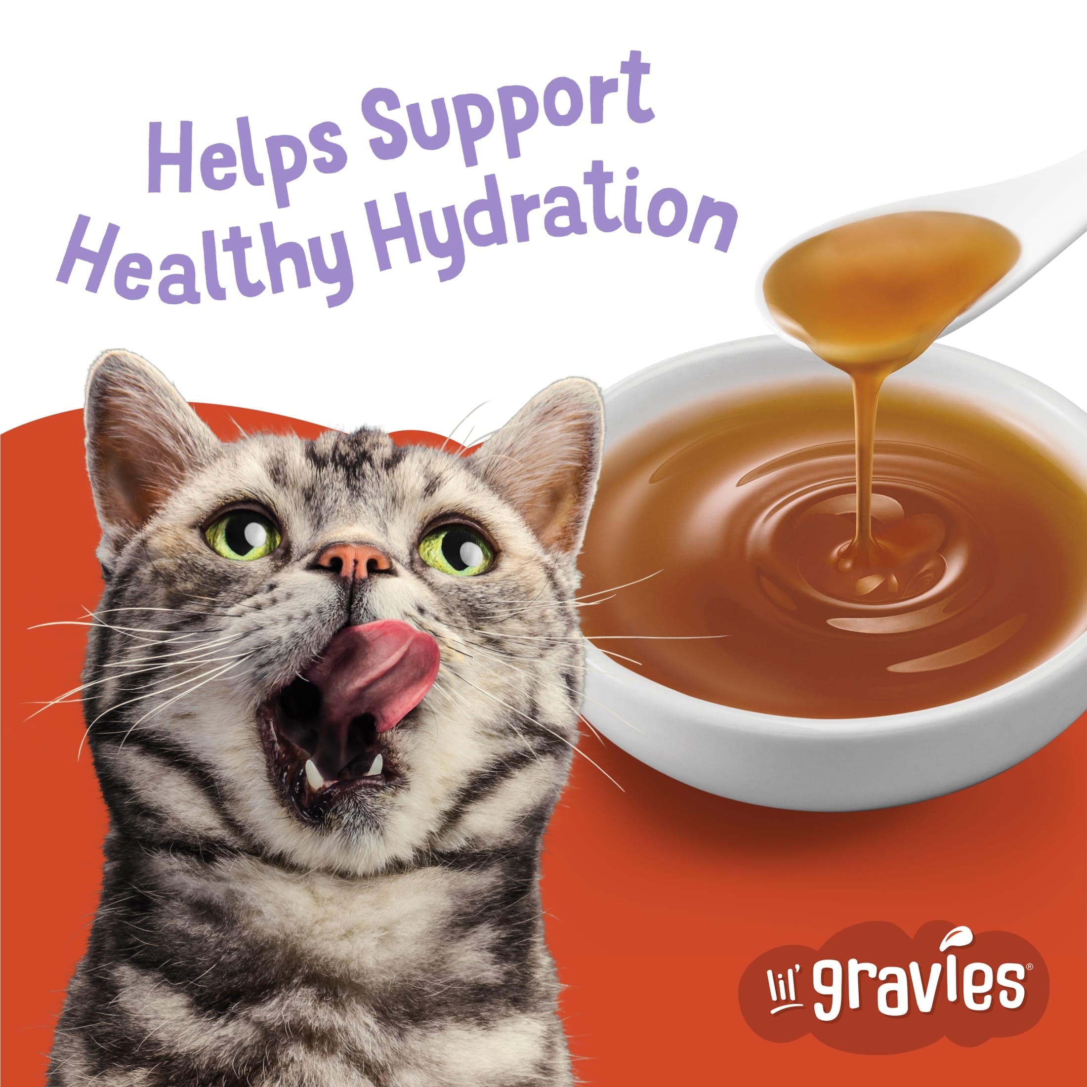 (6 pack) Purina Friskies Lil Gravies, Roasted Turkey Flavor Gravy, Wet Cat Food, 1.55 oz. Pouch