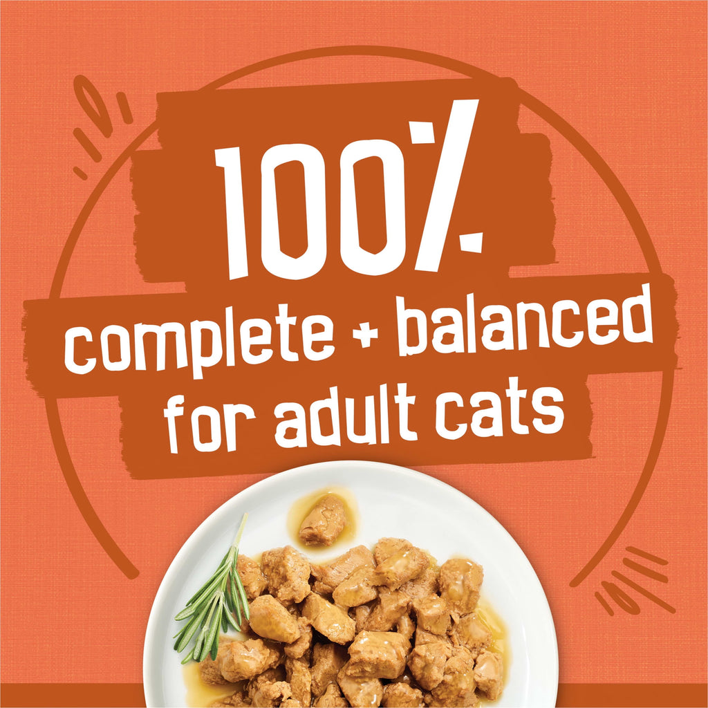 (2 pack) Purina Friskies Turchicken Gravy, Soft Variety Pack, Wet Cat Food, 5.5 oz Cans, 40 Pack