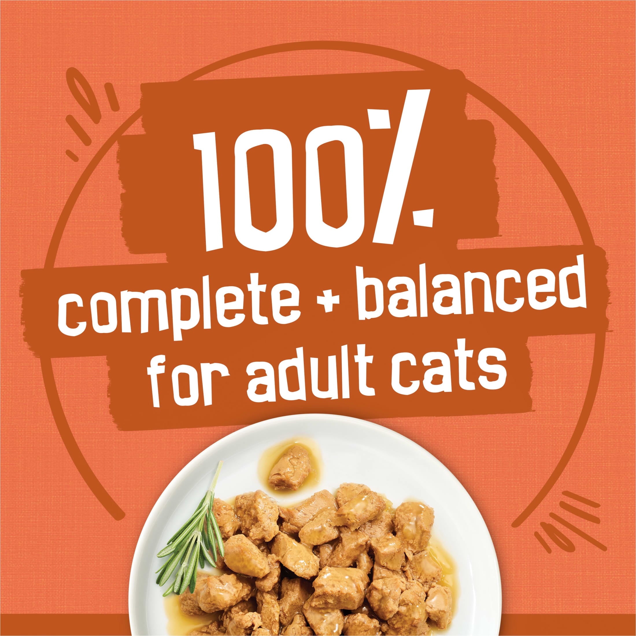 (2 pack) Purina Friskies Turchicken Gravy, Soft Variety Pack, Wet Cat Food, 5.5 oz Cans, 40 Pack