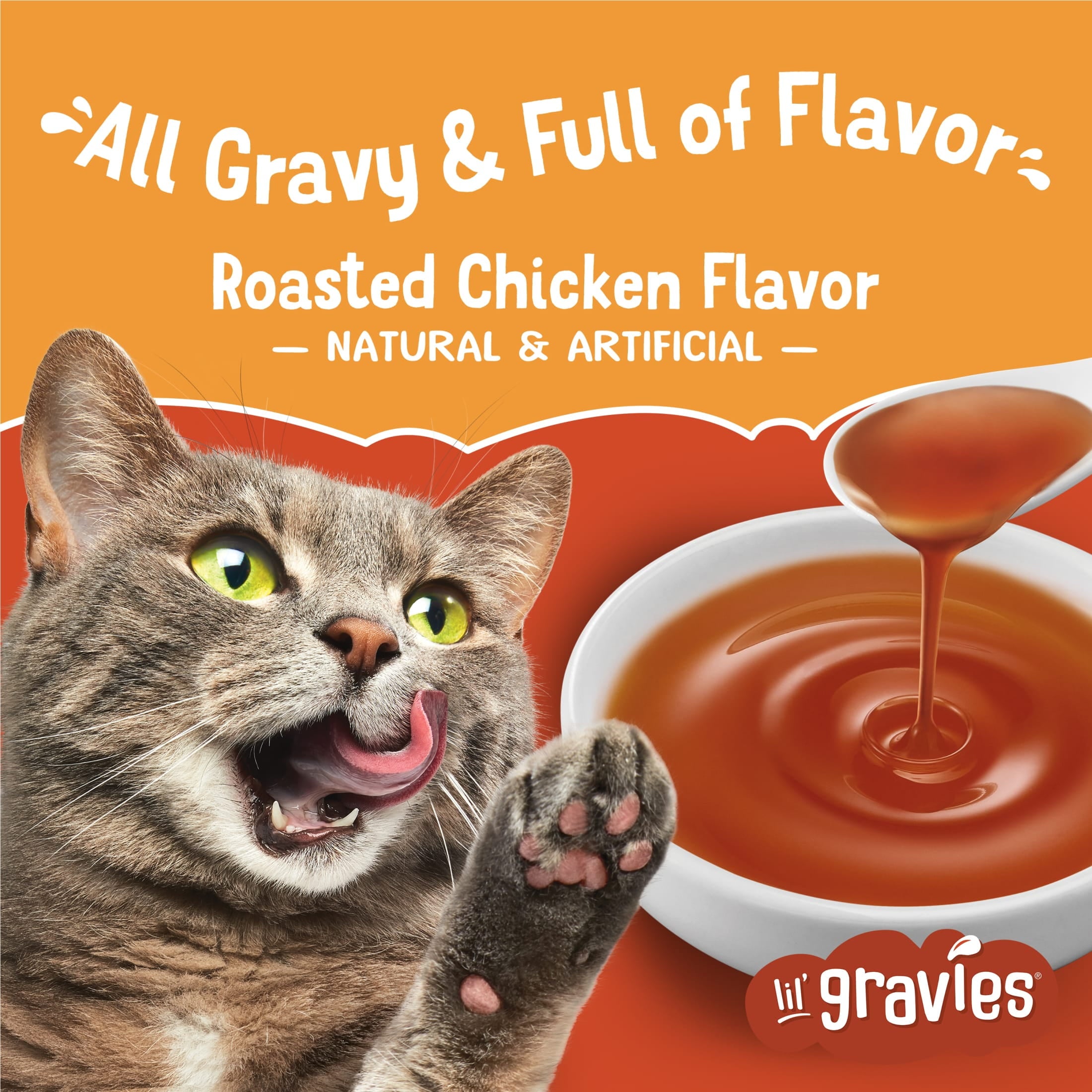 Purina Friskies Lil Gravies Roasted Chicken Flavor Gravy, Wet Cat Food, 1.1 oz. Pouch, 16 Count