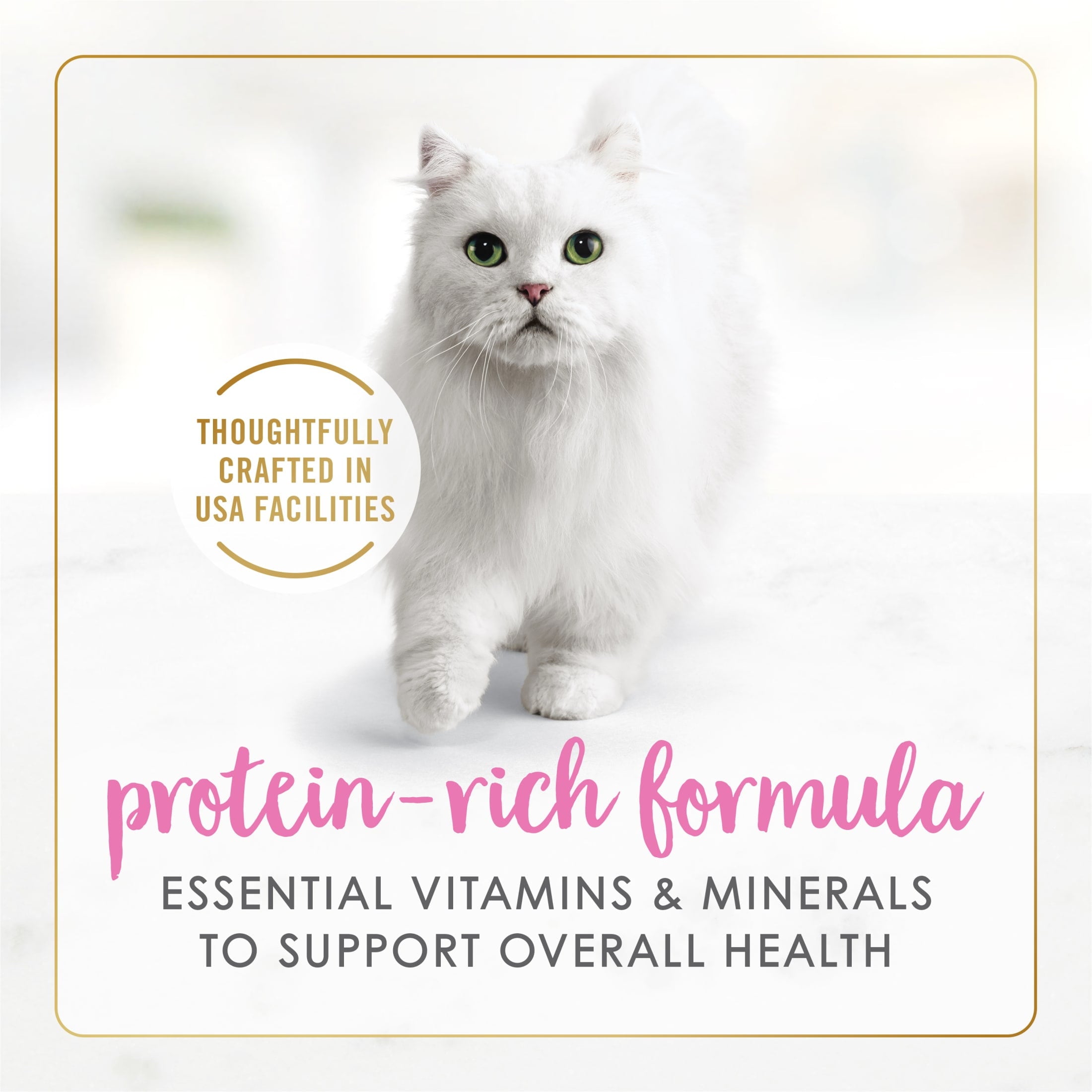 Purina Fancy Feast SlicedKitten Food, Wet Cat Food, Chicken Heart & Liver in Gravy, 3 oz Can