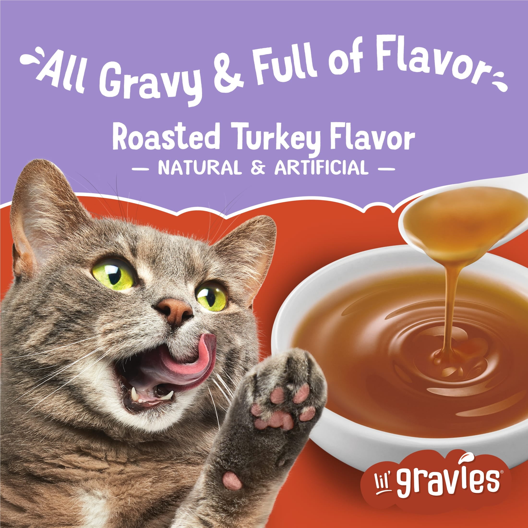 (6 pack) Purina Friskies Lil Gravies, Roasted Turkey Flavor Gravy, Wet Cat Food, 1.55 oz. Pouch