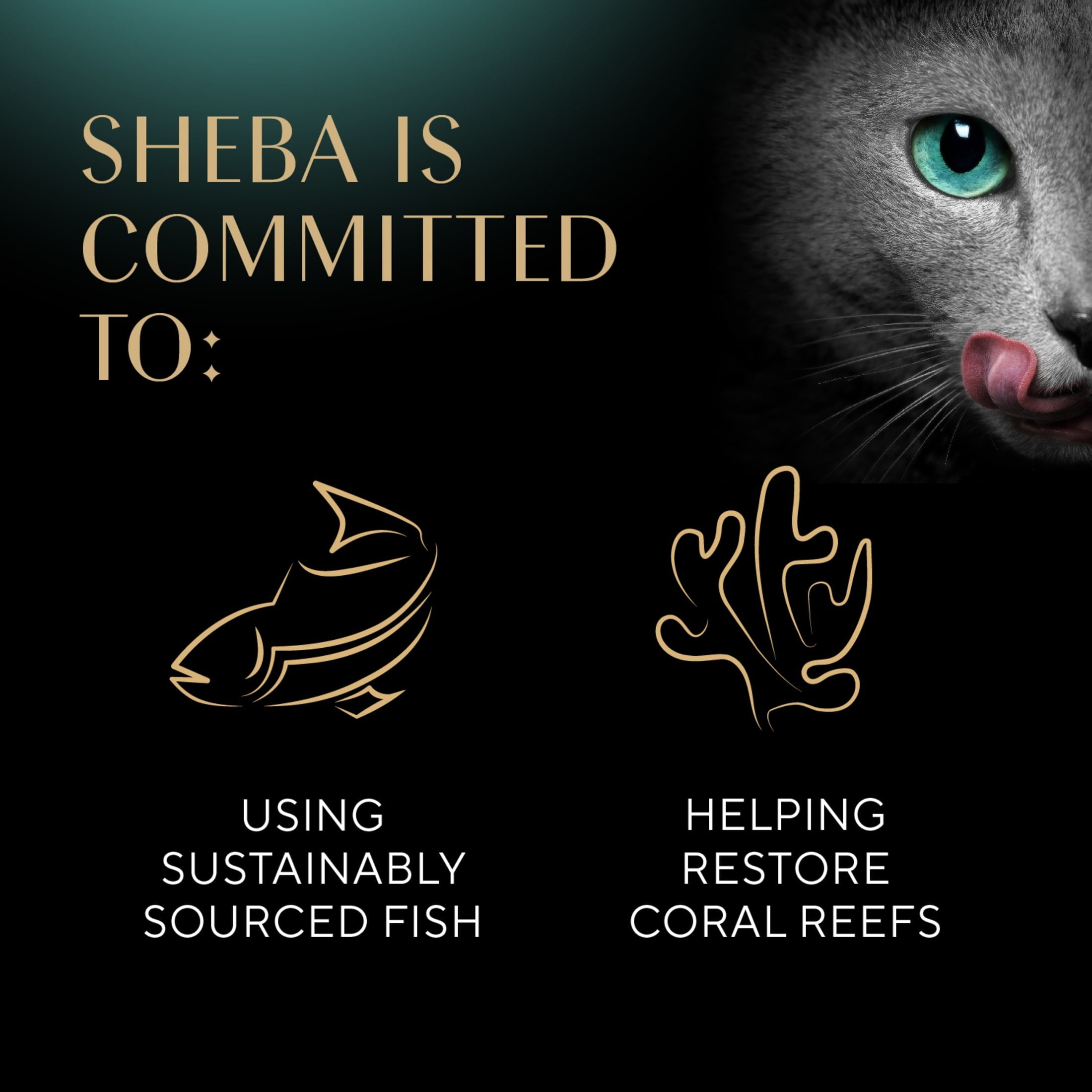 Sheba Perfect Portions Cuts In Gravy Variety Pack Wet Cat Food, 2.6 Oz Twin-Pack Trays (24 Count)