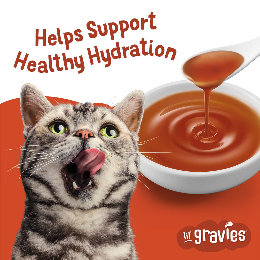 Purina Friskies Lil Gravies Roasted Chicken Flavor Gravy, Wet Cat Food, 1.1 oz. Pouch, 16 Count