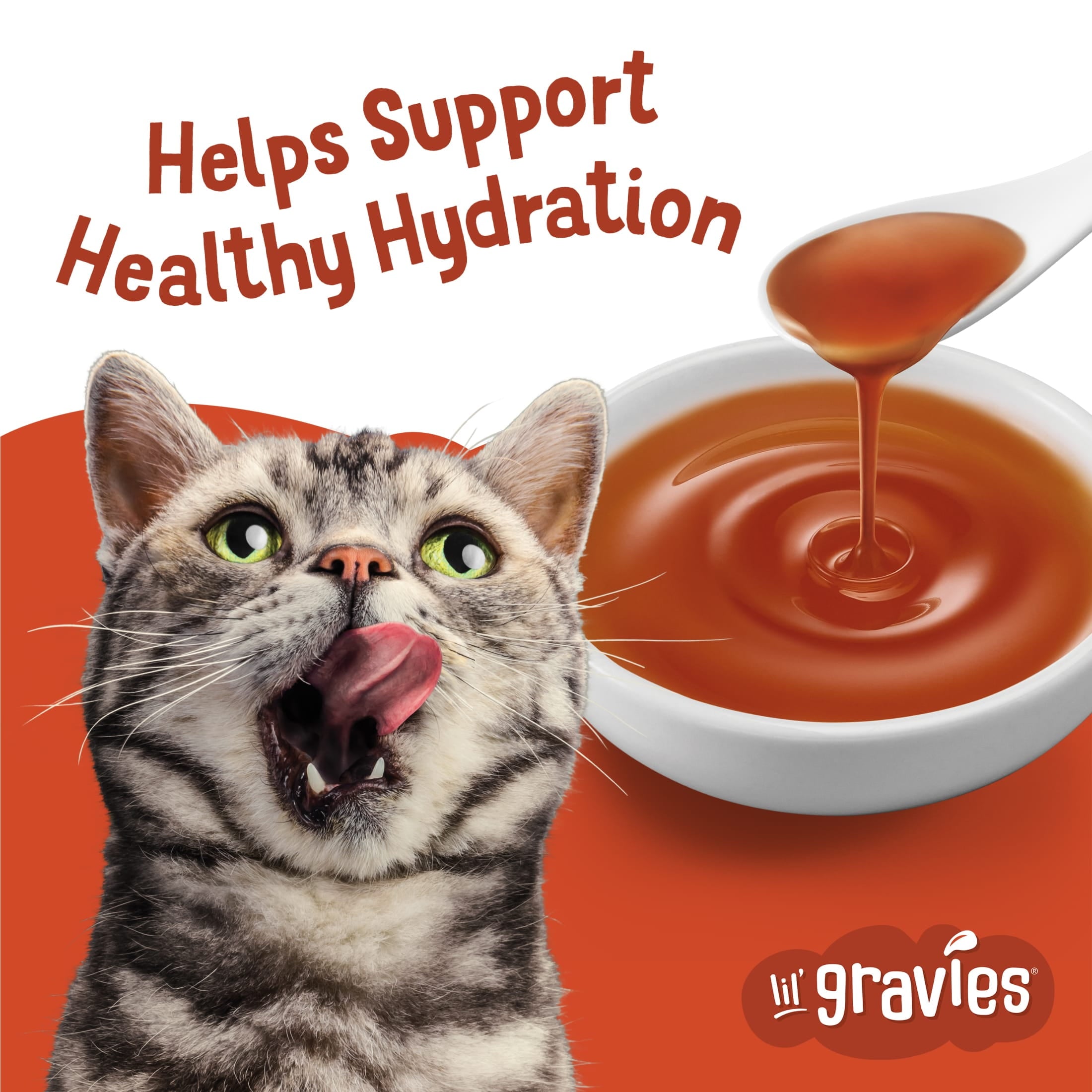 Purina Friskies Lil Gravies Roasted Chicken Flavor Gravy, Wet Cat Food, 1.1 oz. Pouch, 16 Count