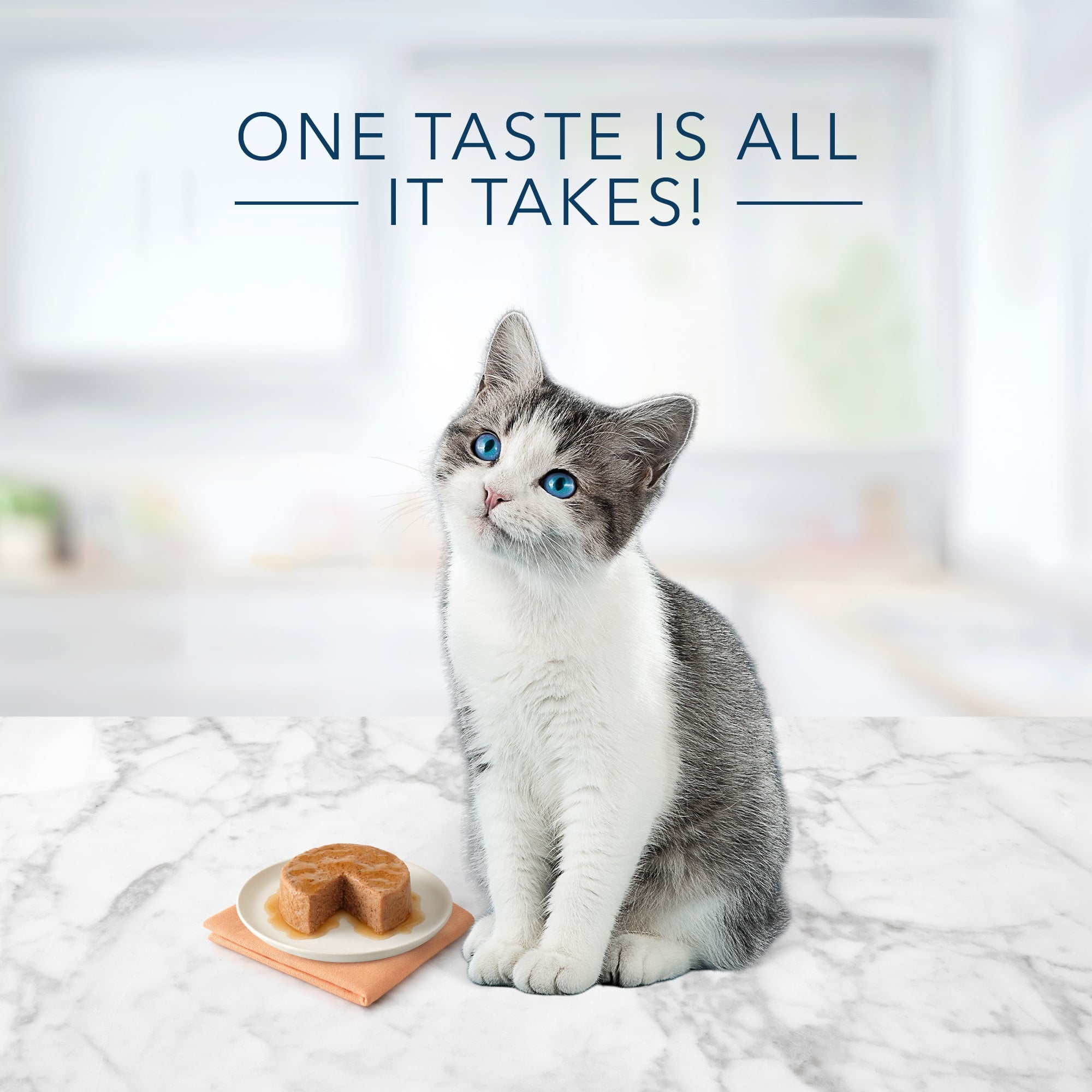 Blue Buffalo Tastefuls Kitten Chicken Entree Pate Wet Cat Food Multipack - 3oz/6ct (Pack of 12)