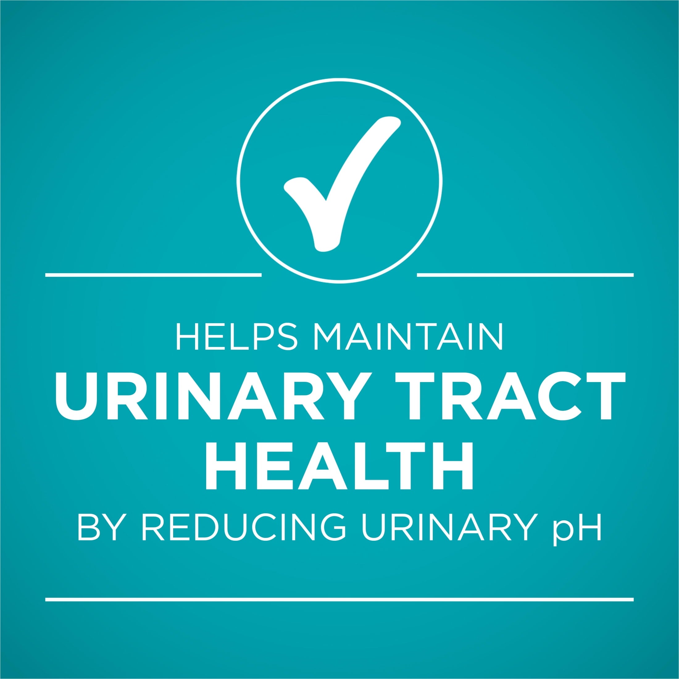 (6 pack) Purina ONE Urinary Tract Health, Soft Beef & Liver, Wet Cat Food, 3 oz Can
