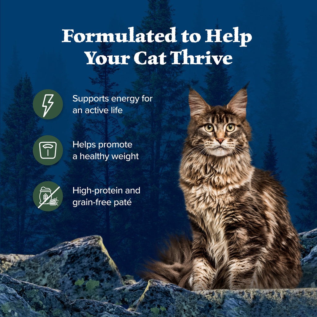 (3 pack) Blue Buffalo Wilderness High-Protein Adult Cat Wet Food, Duck, 3-oz. Can