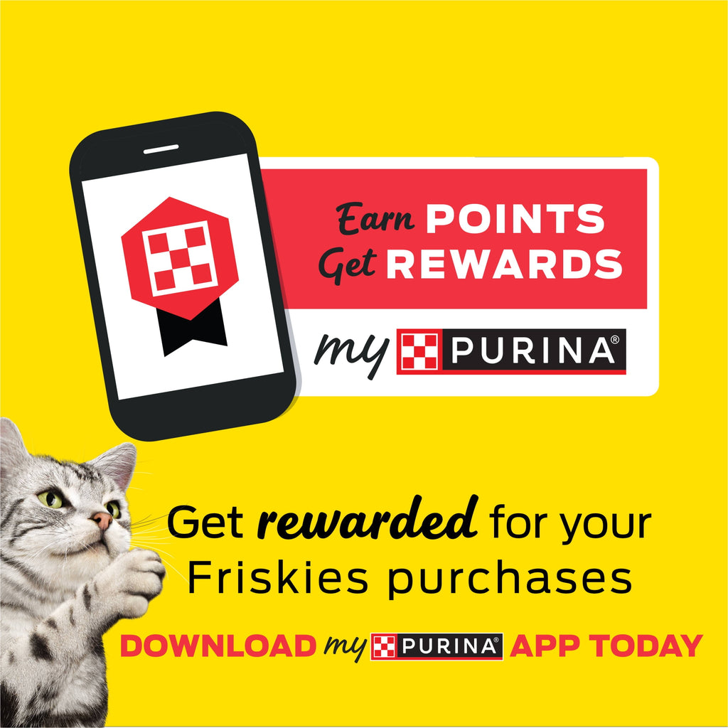 (12 pack) Purina Friskies Wet Cat Food Gravy Pate, Tuna, Wet Cat Food, 5.5 oz. Can