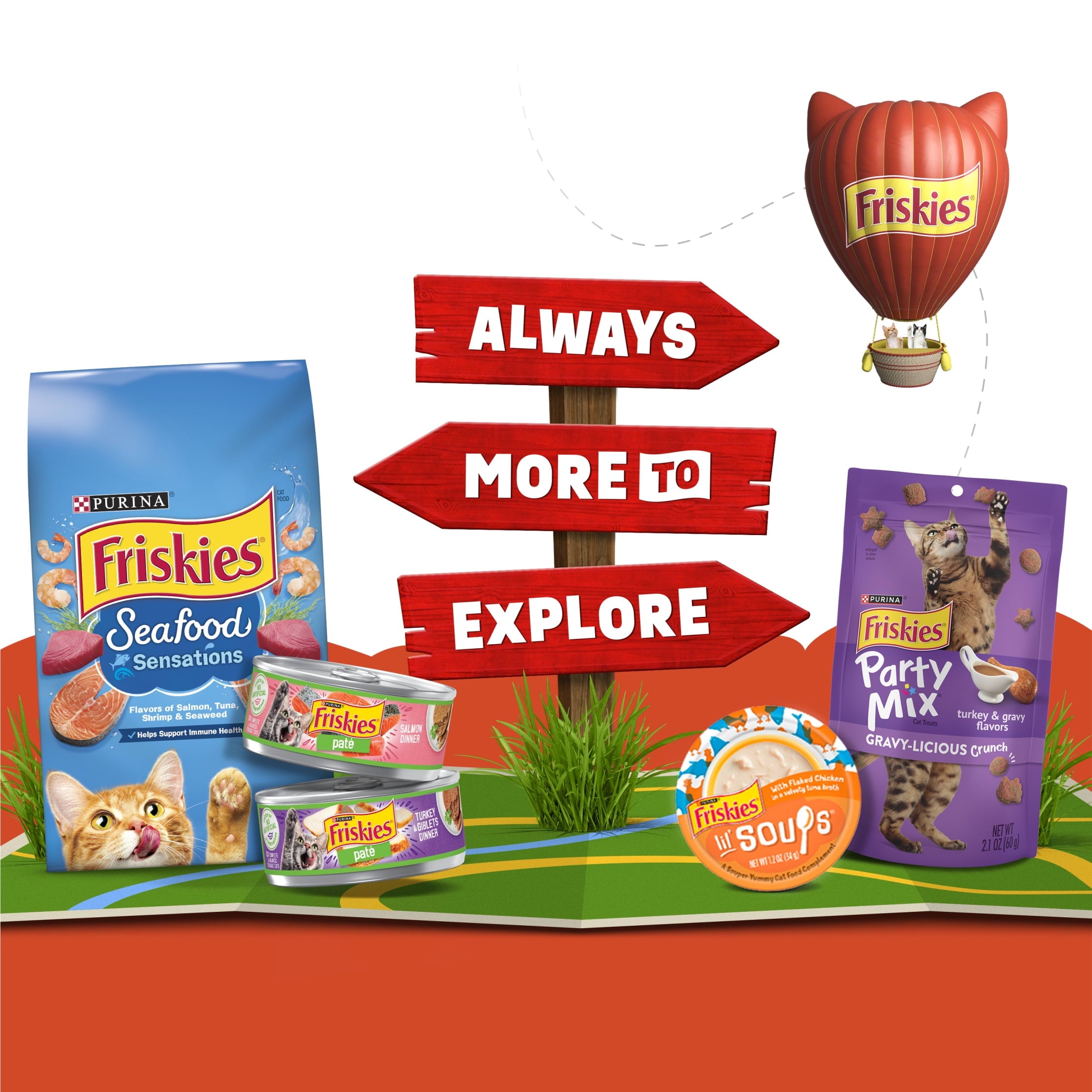 (6 pack) Purina Friskies Lil Gravies, Roasted Turkey Flavor Gravy, Wet Cat Food, 1.55 oz. Pouch