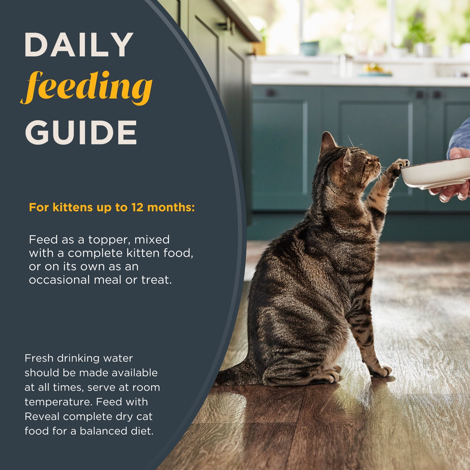 Reveal Pet Food Wet Kitten Food, Tuna Fillet in Broth, 12 pack of 2.47oz Cans