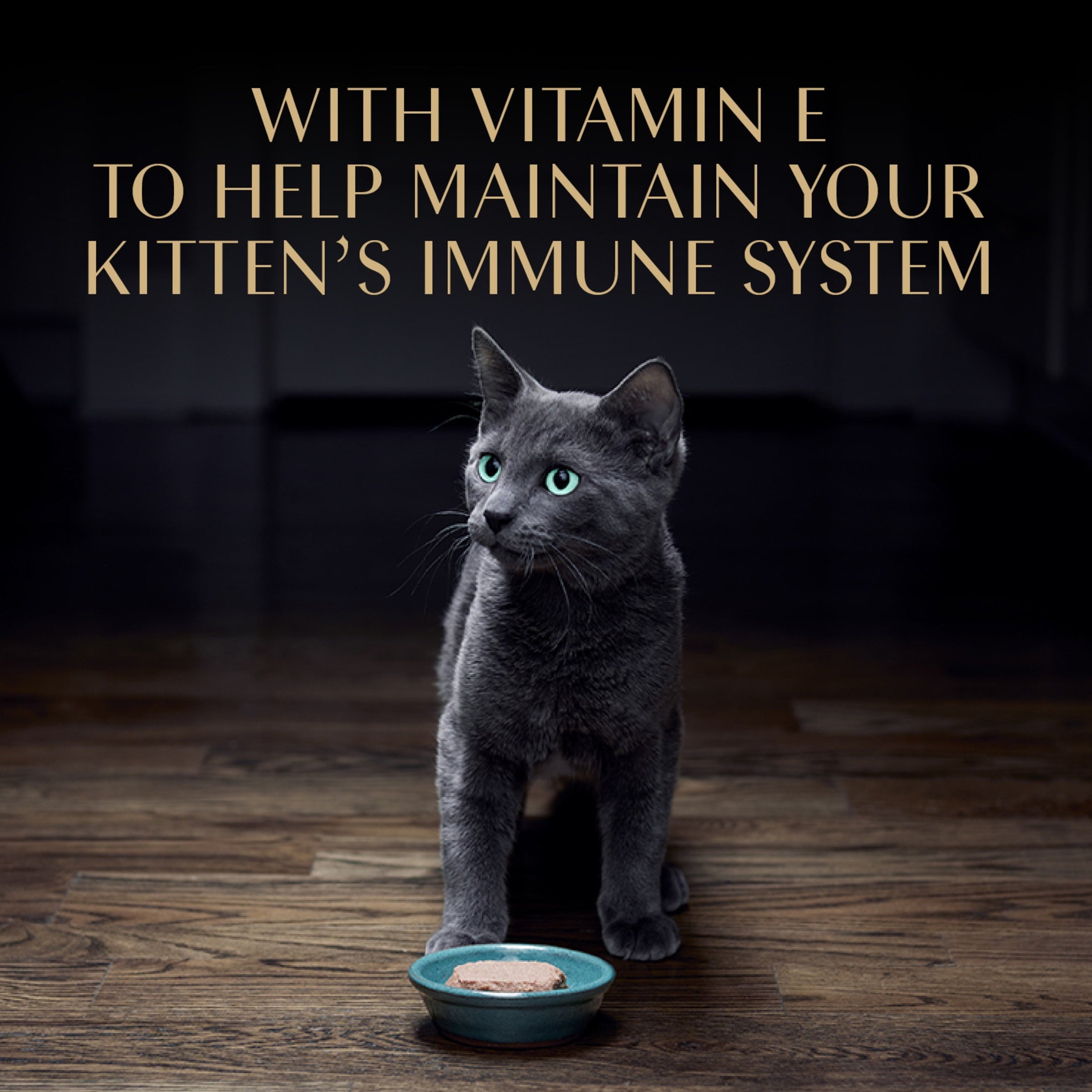 (4 pack) Sheba Perfect Portions Kitten Chicken Pate Entree Wet Cat Food, 2.6 Oz Twin-Pack Tray