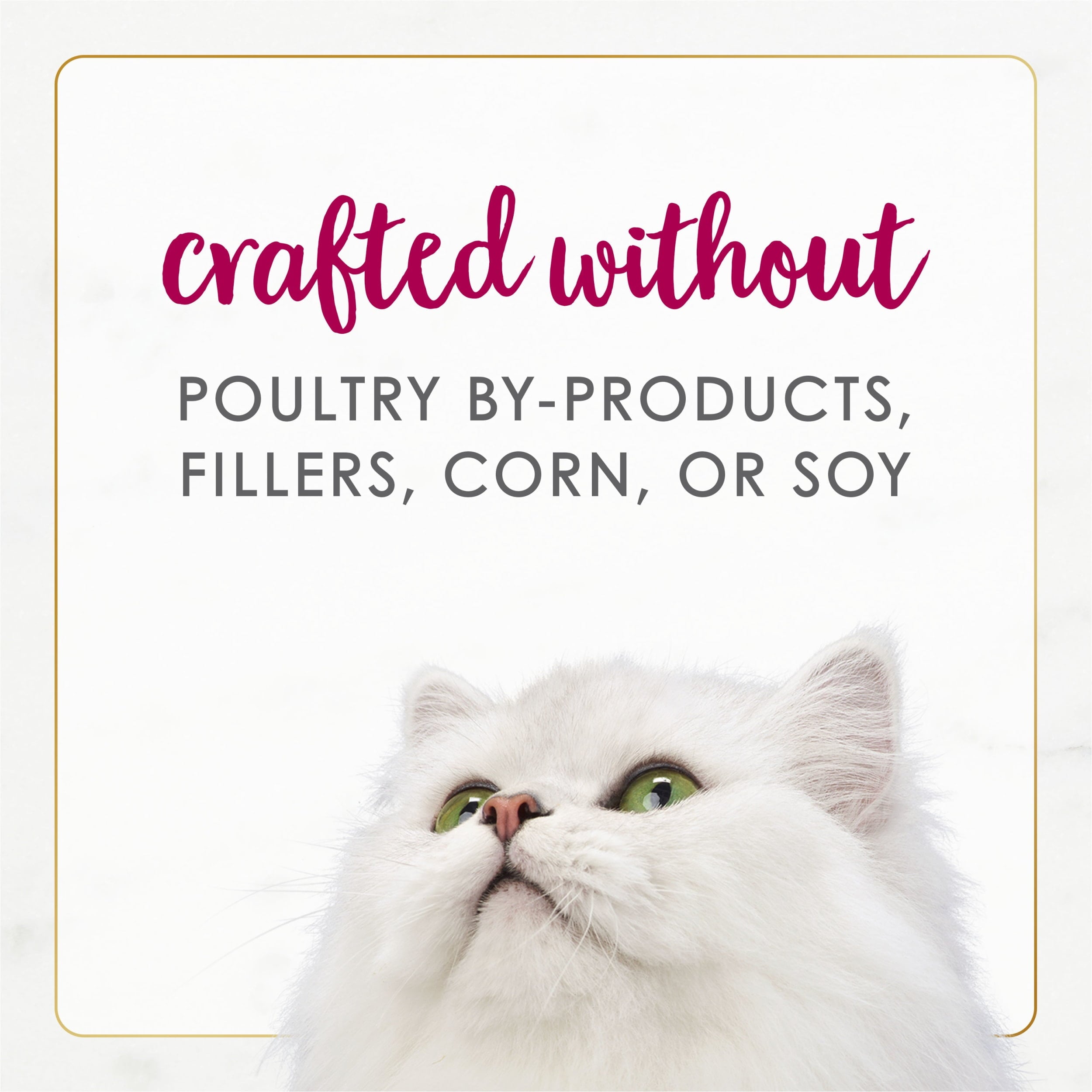 Purina Fancy Feast Gourmet Naturals, Wet Cat Food, Chicken & Beef in Gravy, 3 oz Cans (12 Pack)